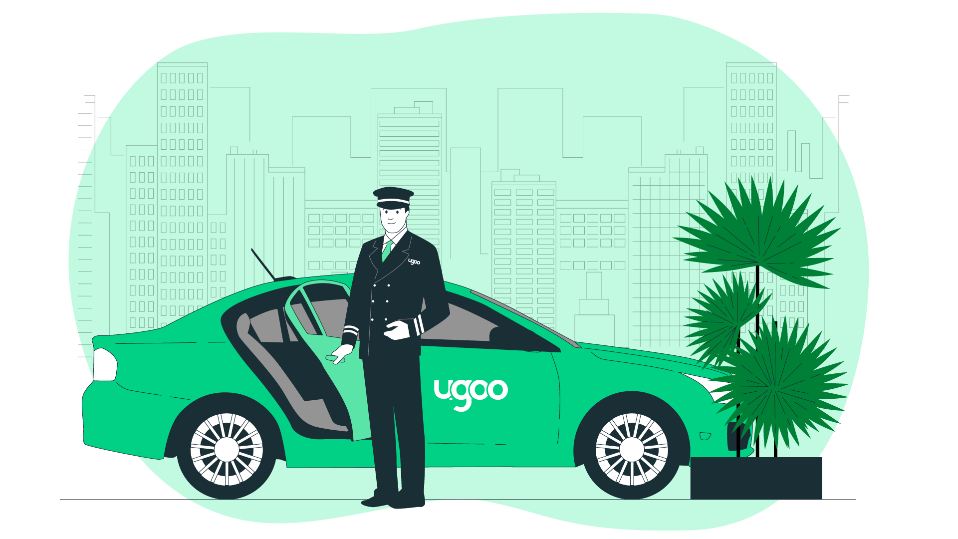 Luxury Transportation